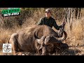 Two Hunters Each Take Their First Cape Buffalo