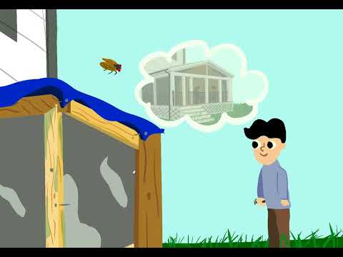 Build Your Dream Home