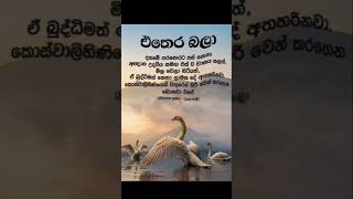 Download lagu හරි දෙ තෝරාබේරාගෙන ජීවත්වෙන්න  💝💝💝 #subscribe mp3