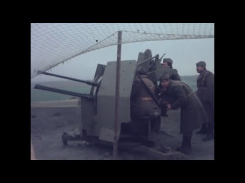 2 cm FlaK-Vierling 38 of the Yugoslav People's Army (PA top M38 (n))