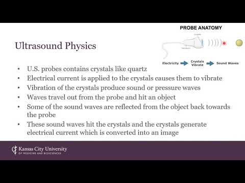 Point of Care Ultrasound Use in Primary Care 098021