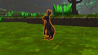 Voxel Project - Animals