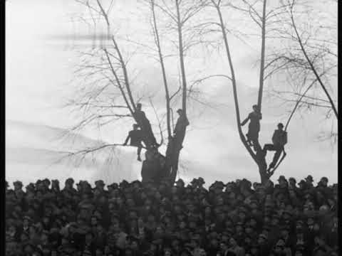 Schalke 04 - 1. FC Köln