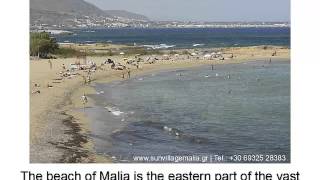 preview picture of video 'Malia Crete Beaches - Malia Beach'