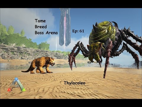 Ark How to Tame, Breed, Boss Arena Gamma Broodmother : Ep 61 : Thylacoleo