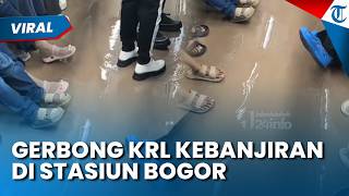 Viral KRL Kebanjiran di Stasiun Bogor setelah Hujan Deras, Diduga Air dari Atap Masuk Lewat Pintu