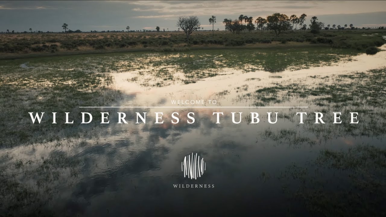 Wilderness Tubu & Little Tubu: An Okavango Island Beyond Imagination