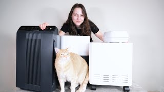 Лучшие очистители воздуха от кошачьей шерсти для квартиры 2025 года по ...