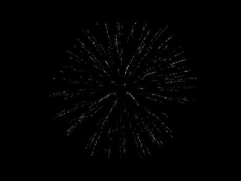 5 9001 gold tit willow to blue