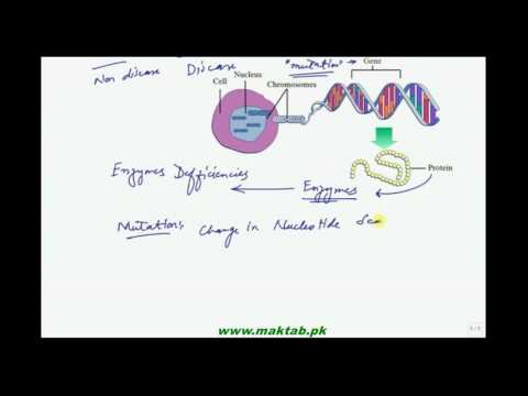 FSc Biology Book2, CH 20, LEC 9: Gene and one Gene one Polypeptide Theory