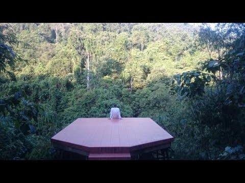 The jungle SPA: Villa Happy Monkey