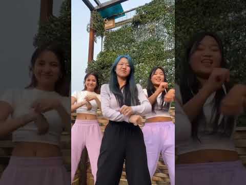 Gyal you a party animal Trending/ Viral TikTok/Reel dance by MIXDUP 🇮🇳