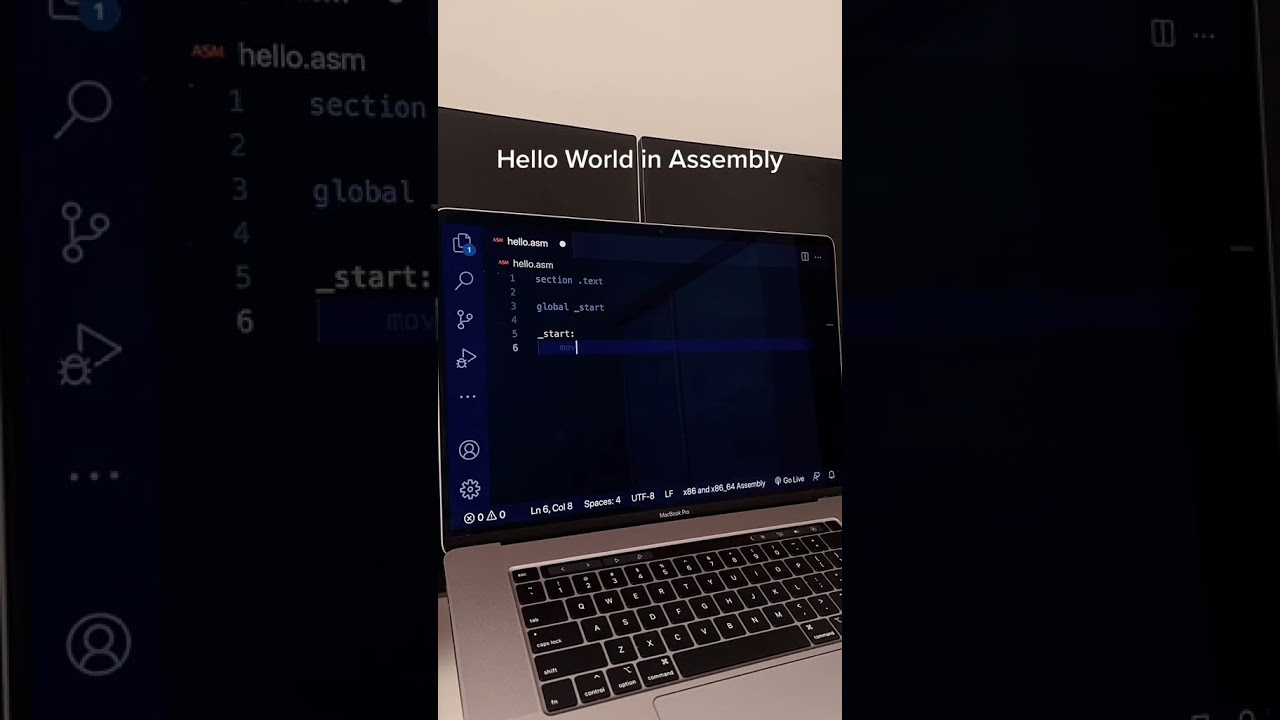 Python vs. Java vs. Assembly: Hello World Performance Comparison