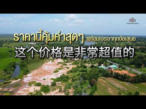 ขายที่ดิน 14 ไร่ ด่านขุนทด โคราช | ติดคลองส่งน้ำ | ราคาไร่ละ 3.8 แสน | ที่ดินทำเกษตรแปลงใหญ่, นครราชสีมา, พันชนะ, ด่านขุนทด, นครราชสีมา, 380 ตร.ม., ที่ดิน ขาย, โดย คุณเอ็มมี่, 11518918 - DDproperty.com