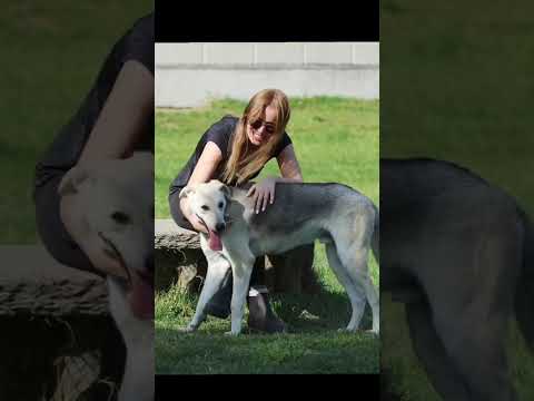 Video di BABA