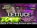 White LED vs Red Blue White LED Grow Test w/Time Lapse - Lettuce Ep.1