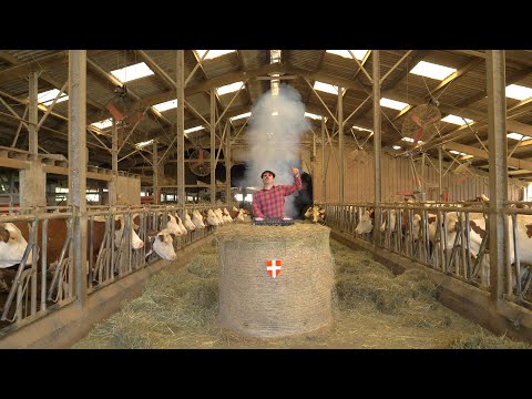 DJ Matafan - Les Cloches Des Vaches (Album "Savoie Vindieu")