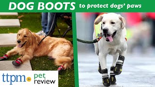 Download lagu Dog Boots Review | For Dogs Who Haven't Worn Boots Before! | (We Tested Them All) mp3