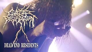 Dead End Residents - Cattle Decapitation