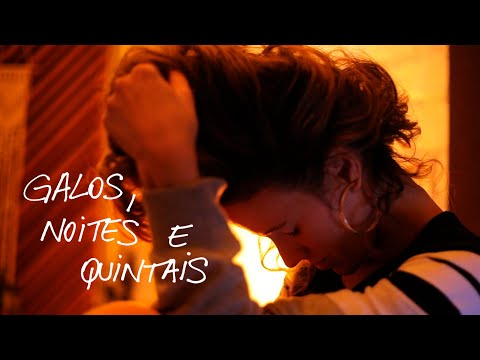 Ana Cañas - Galos, Noites e Quintais (Visualizer)