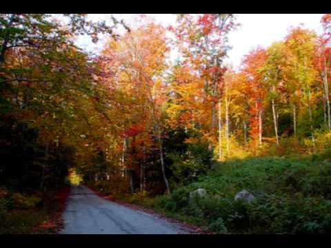 Kady Malloy - Autumn Leaves