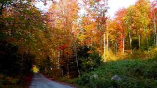 Kady Malloy - Autumn Leaves