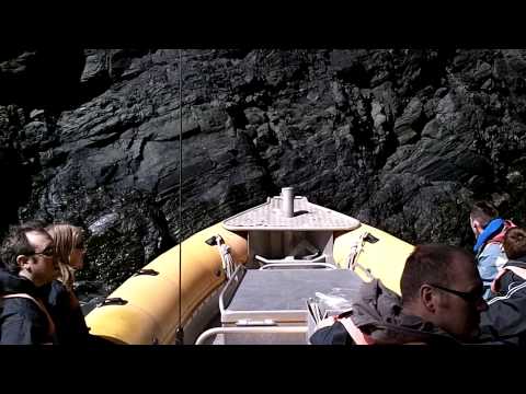download lagu mp3 mp4 St Davids Boat Trips, download lagu St Davids Boat Trips gratis, unduh video klip St Davids Boat Trips