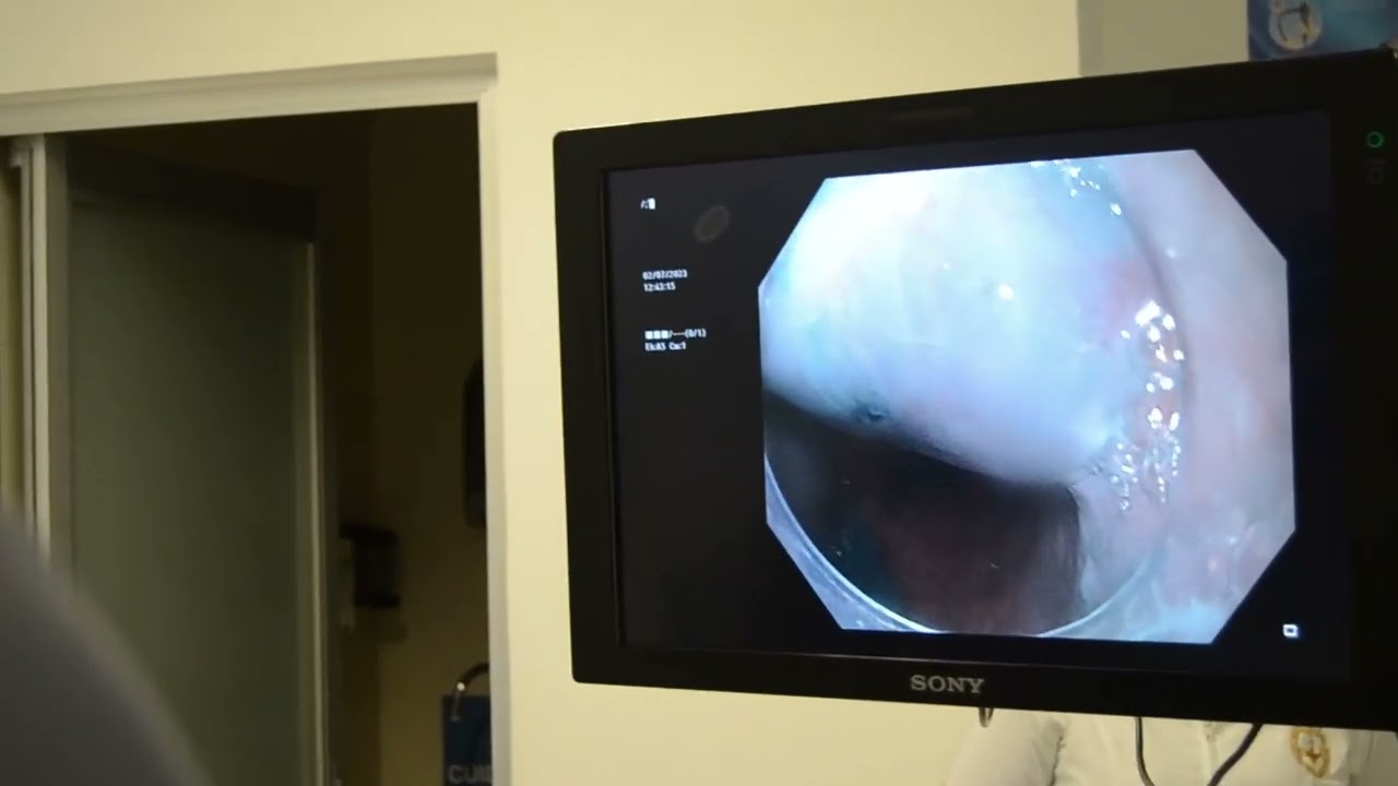 Manuel Alfonso Peña Vergara-16