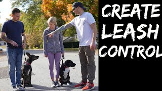 How to teach any dog to stop pulling and walk nicely on a loose leash!