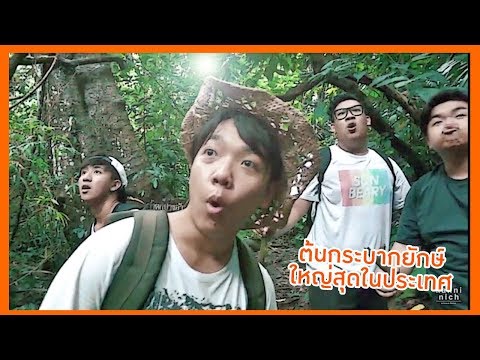 รังแคหรือโรคสะเก็ดเงิน โรคสะเก็ดเงินรักษาน้ำส้มสายชู