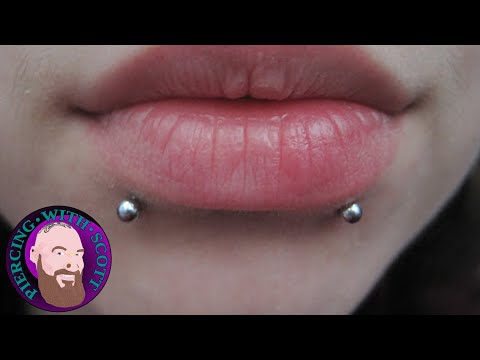 The Whole Truth - Snake Bites