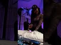 Gutting A Pillow Taking My Time