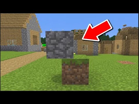 I Shapeshift To Cheat In Minecraft Hide And Seek!
