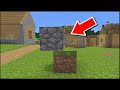 I Shapeshift To Cheat In Minecraft Hide And Seek