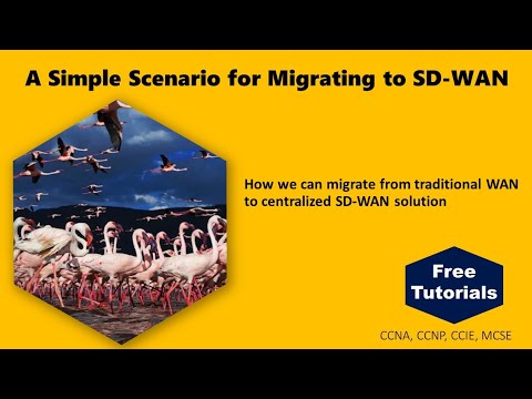 A Simple Scenario for Migrating to SD-WAN