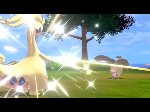 Skwovet chose violence