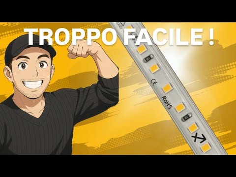 Supplemento dietetico da parassiti I migliori mezzi da vermi per gatti