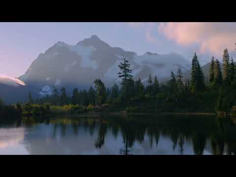 8 Hours of Birds Singing on the Lakeshore and Water Sounds - Relaxing Nature Sounds - Mount Shuksan