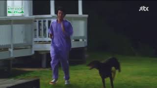 Download lagu SEOKJIN PLAYING WITH DOG - BTS IN THE SOOP SEASON 2 mp3