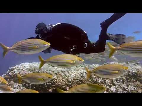 Amazing Nature   Drone   Waterfalls   Aerial View