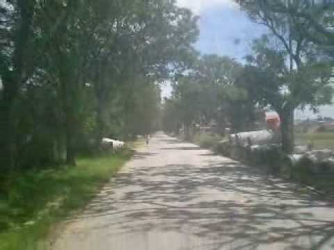 In memorian 22-es busz