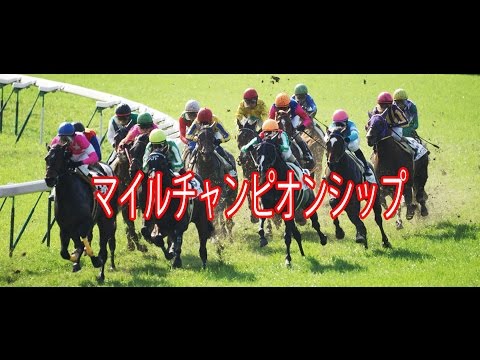 ＜第31回　マイルＣＳ＞◇京都競馬場◇芝1600メートル　マイルチャンピオンシップ