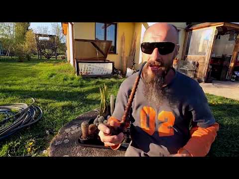 P #ePiPe Hand e-Shisha