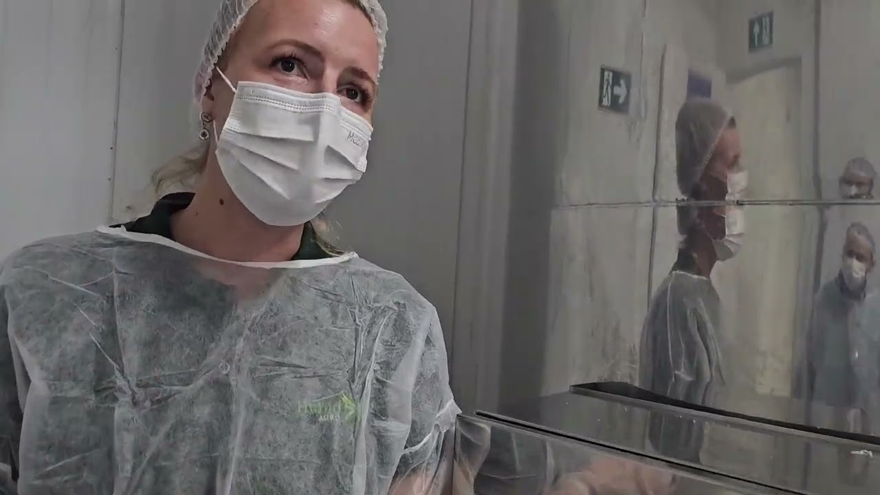 Biofábrica da Usina Caeté reforça uso de bioinsumos no canavial