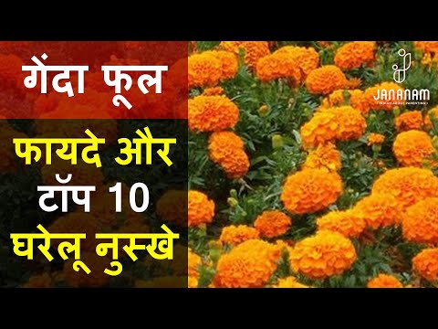 फूल गेंदा से हार — वीडियो थंबनेल