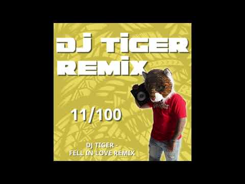DJ TIGER - Tenelle - FELL IN LOVE REMIX