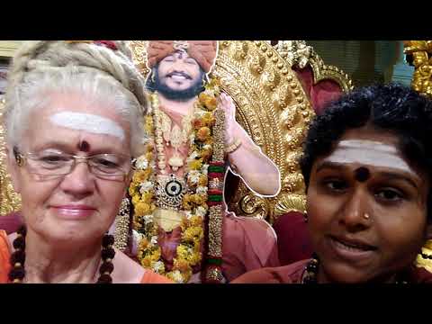 Kalpa Vriskha - Wish fulfilling is real