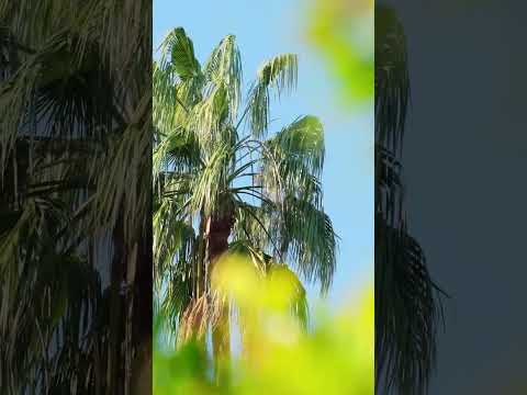 Barut Hemera | Ein Inspirierender Urlaub an den Ruhigen Küsten des Mittelmeers