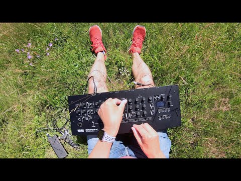 Sinevibes Groove - Field Testing