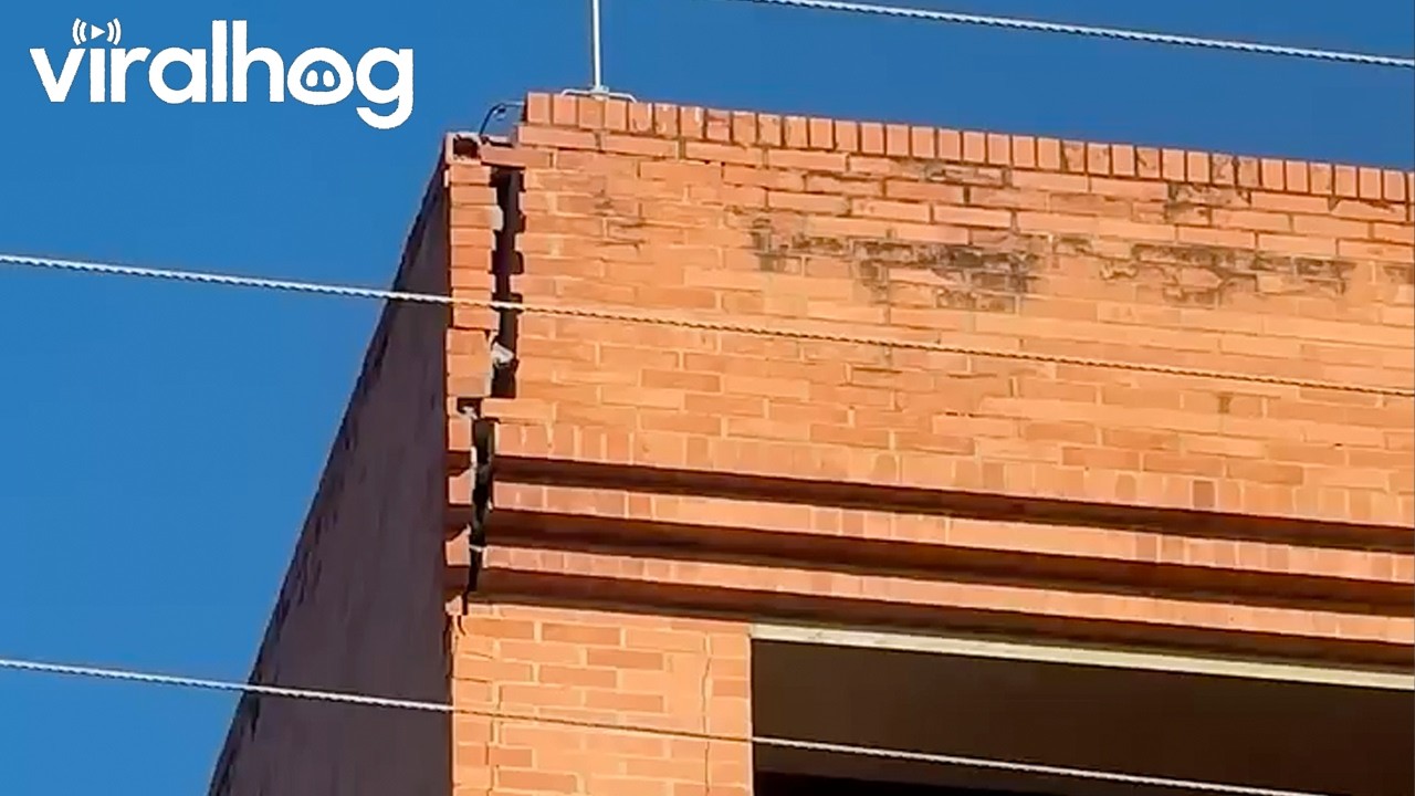 Earthquake Tremors Crack Wall at Colombian University || ViralHog